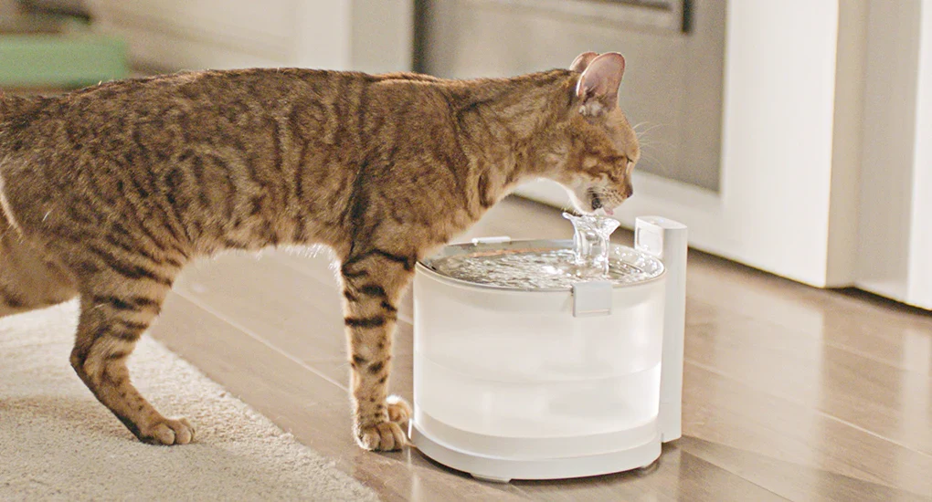 A black-and-white cat drinking water from a small electric pet fountain on a kitchen counter