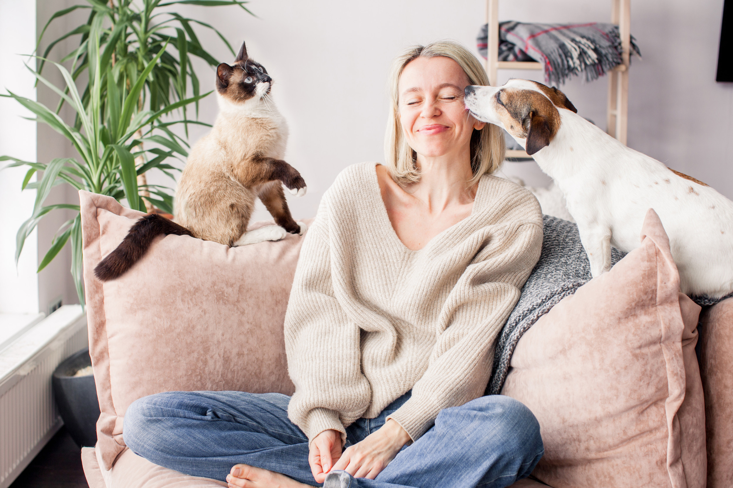 A medium-sized dog and a tabby cat resting together on the same couch cushion, illustrating how close contact can spread mites between pets