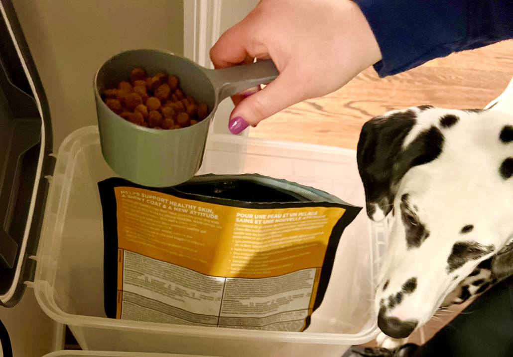 A person measuring dry dog kibble in a kitchen measuring cup next to a small pile of dog treats on a countertop