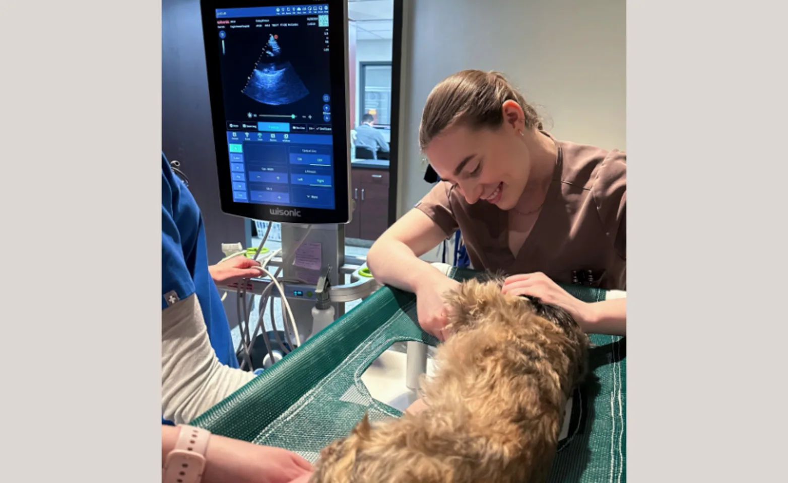 A small dog lying on its side on a padded table while a veterinary professional performs an echocardiogram with an ultrasound probe