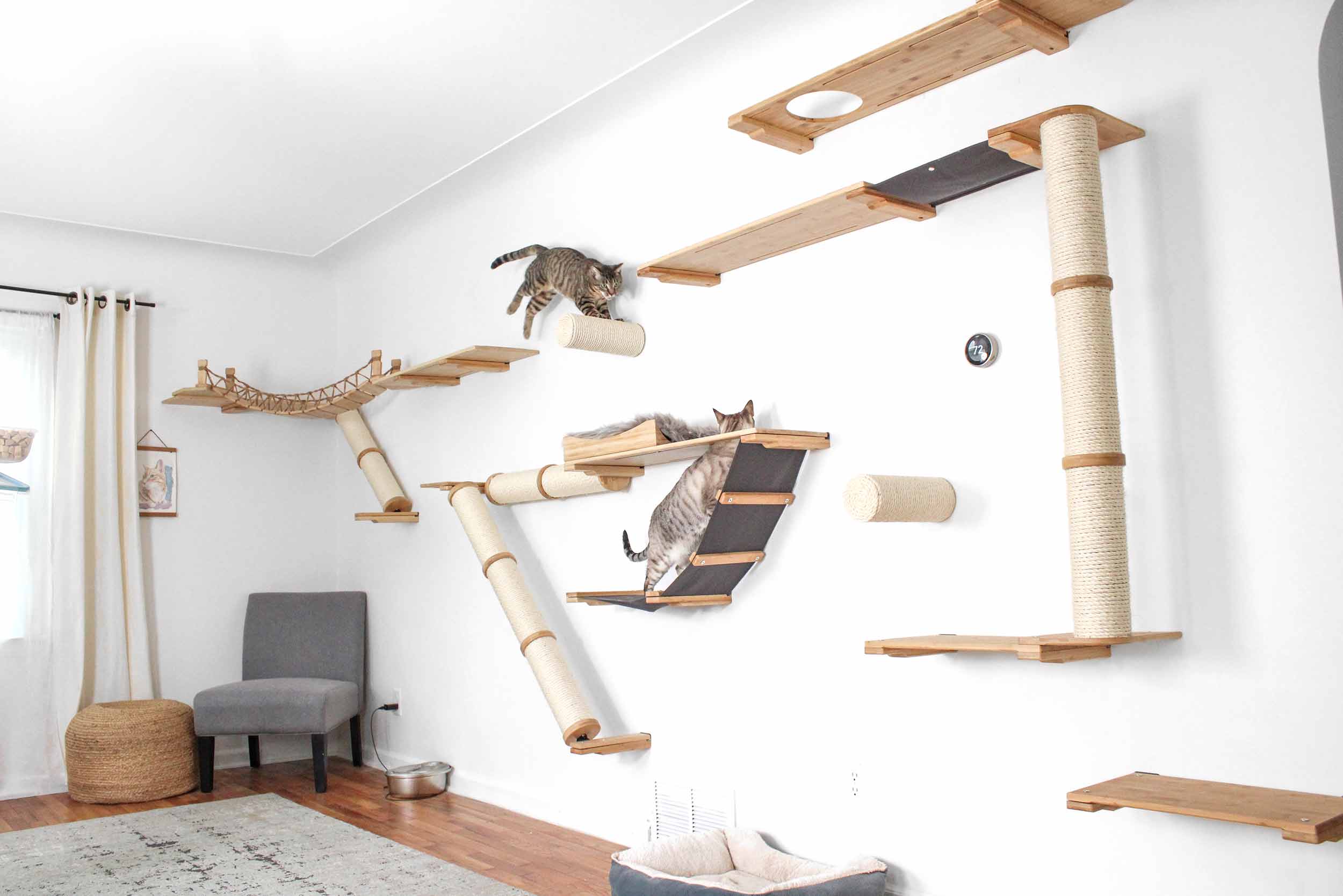 An indoor cat using a vertical scratching post next to a sofa, with the cat fully stretched and engaged in normal scratching behavior
