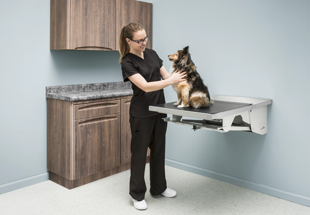 Perineal Hernia in Dogs